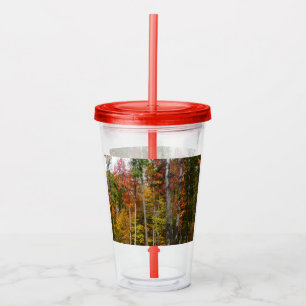 Vaso Acrílico Caída en la colorida fotografía de otoño en el bos