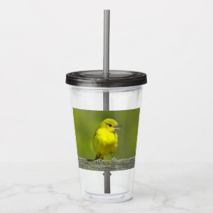 Vaso Acrílico Calandria de Huerta - Fotografía Original