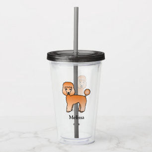 Vaso Acrílico Caniche de Juguete Albaricoque Perro de Dibujos An