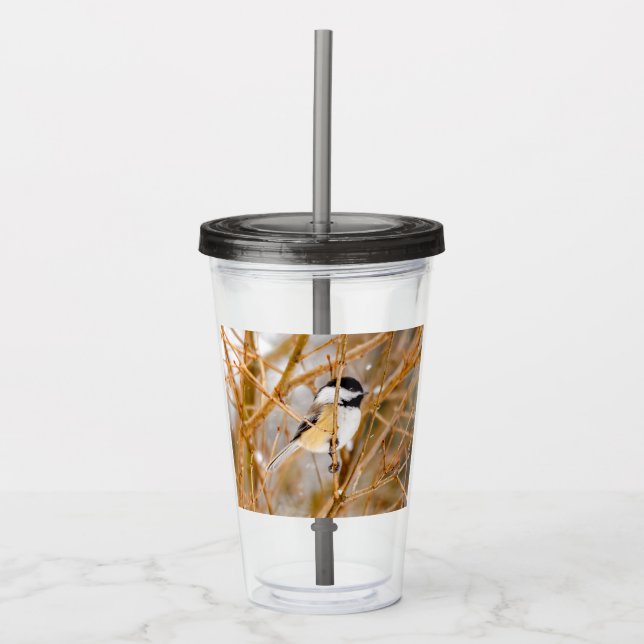 Vaso Acrílico Carbonero de Capucha Negra - Fotografía Original (Anverso)