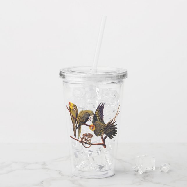 Vaso Acrílico Carolina Parakeet Trio de Aves Extintas (Reverso (hielo))