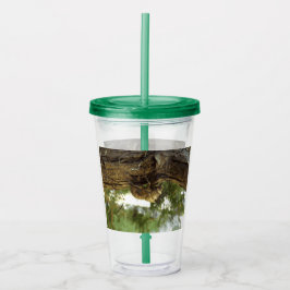 Vaso Acrílico Caza de Cicada. Tenía prisa.