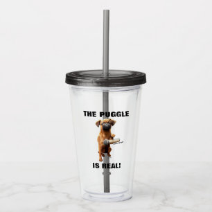Vaso Acrílico Colocar el micrófono