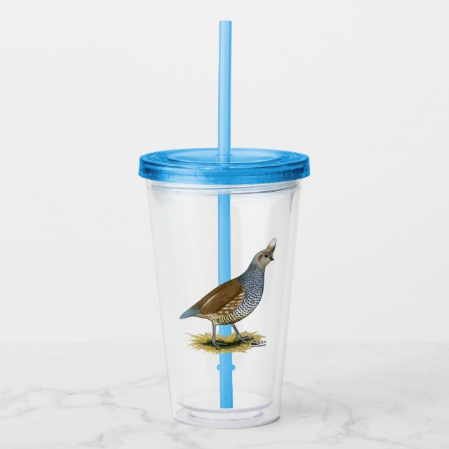 Vaso Acrílico Cual escalada (Anverso)
