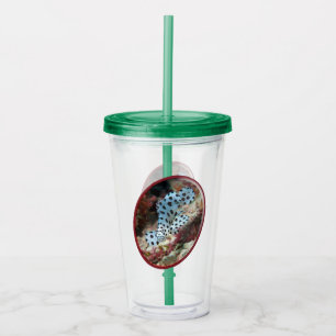 Vaso Acrílico Diseño fotográfico ovalado de pez - Grupo de meros