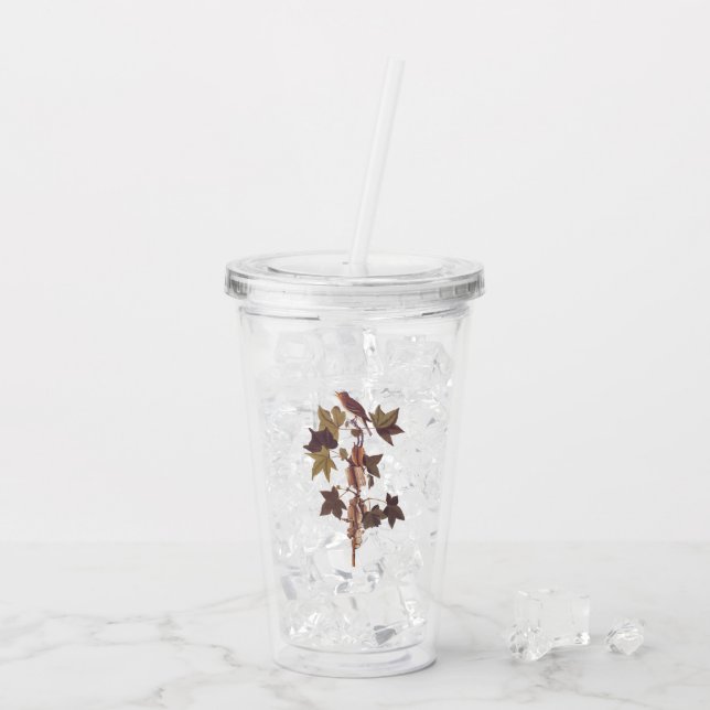 Vaso Acrílico El pájaro del Flycatcher del Sendero Audubon (Reverso (hielo))