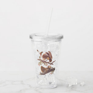 Vaso Acrílico El tarro de viudas de Chuck Will con serpiente de
