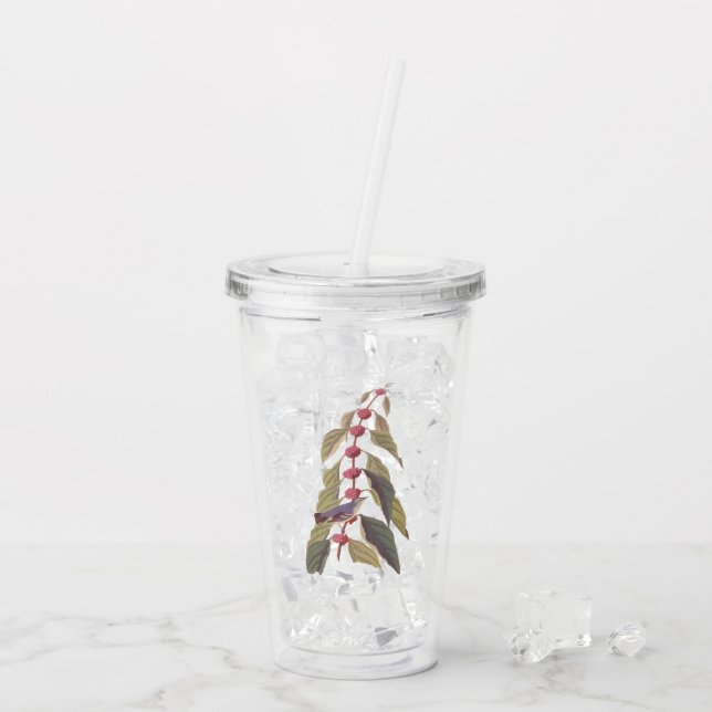 Vaso Acrílico El viejo pájaro de la guerra verde azul de Audubon (Reverso (hielo))