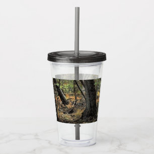 Vaso Acrílico Escena forestal de otoño