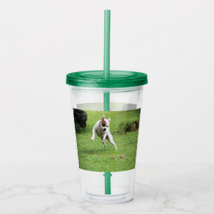 Vaso Acrílico Flotante