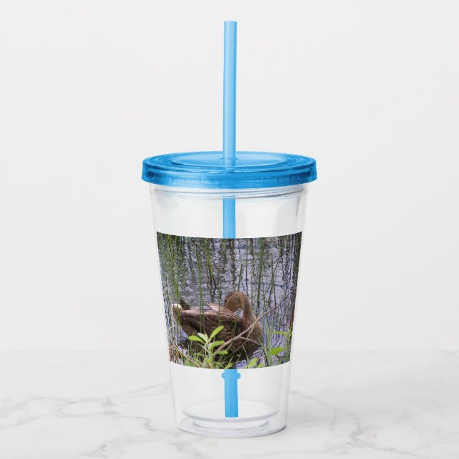 Vaso Acrílico Foto de cierre de un pato (Anverso)