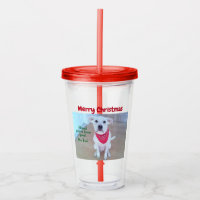 Foto de perro lindo con curioso pegando en rojo la