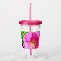 Foto de Rosa Rosa Salvaje en Lord Bible Verse