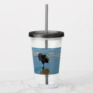 Vaso Acrílico Fotografía del Ballet Keeshond - Arte de Perro Ori