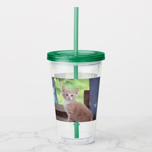 Vaso Acrílico Gatito (Anverso)