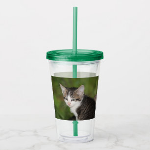 Vaso Acrílico Gatito