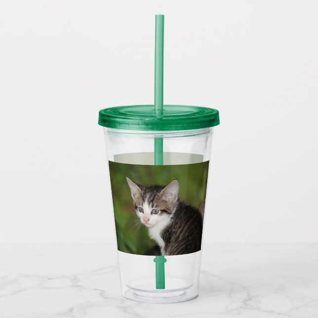 Vaso Acrílico Gatito (Anverso)