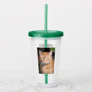 Vaso Acrílico Gato