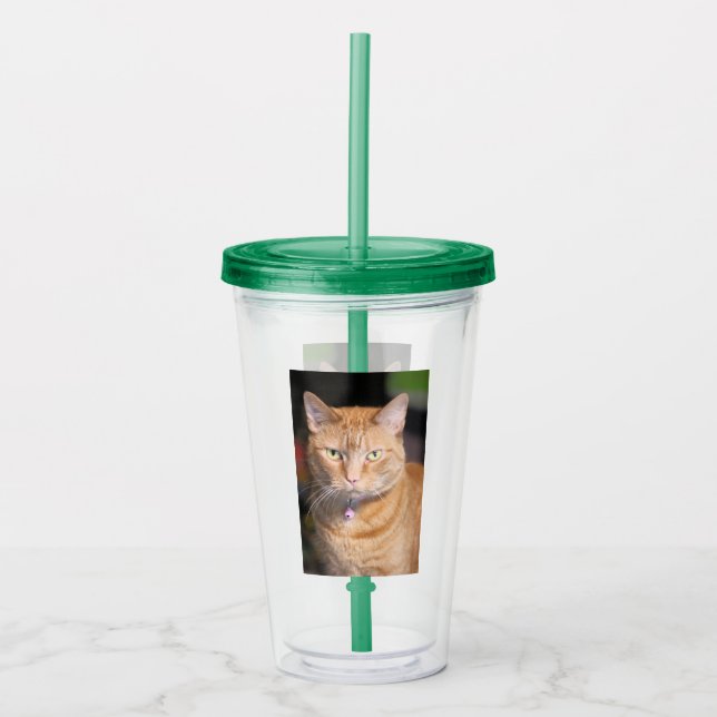 Vaso Acrílico Gato (Anverso)