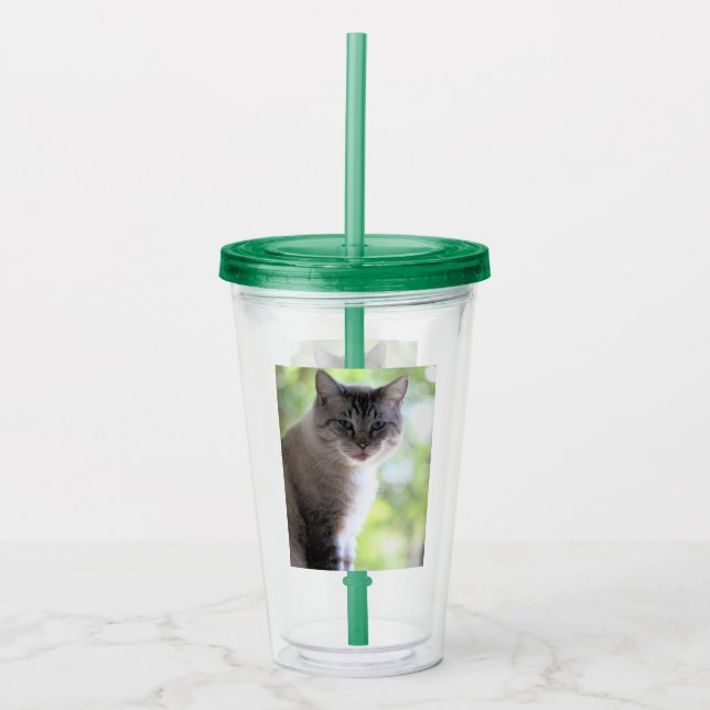 Vaso Acrílico Gato (Anverso)