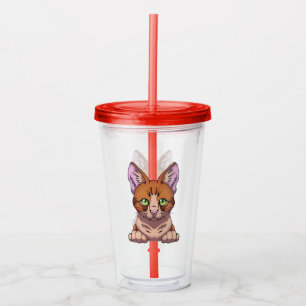 Vaso Acrílico Gato de corte