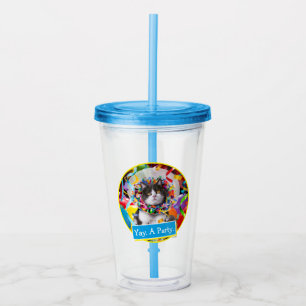 Vaso Acrílico Gato En Cono Fiesta