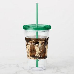 Vaso Acrílico Gemelos australianos de Quokka,