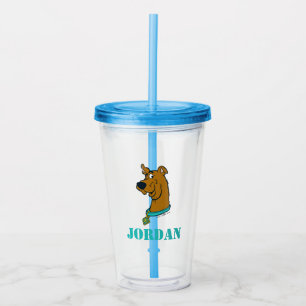 Vaso Acrílico Guiño de Scooby-Doo