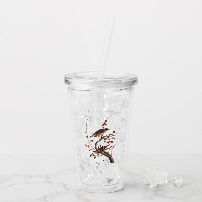 Vaso Acrílico Hermit Thrush Audubon Bird con Berries Rojas (Reverso (hielo))