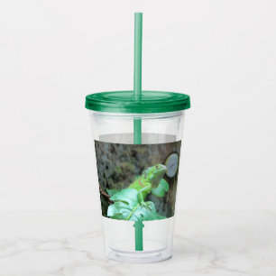 Vaso Acrílico iguana verde