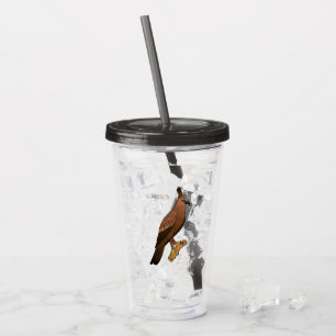 Vaso Acrílico Ilustración de dibujos animados del águila halcón