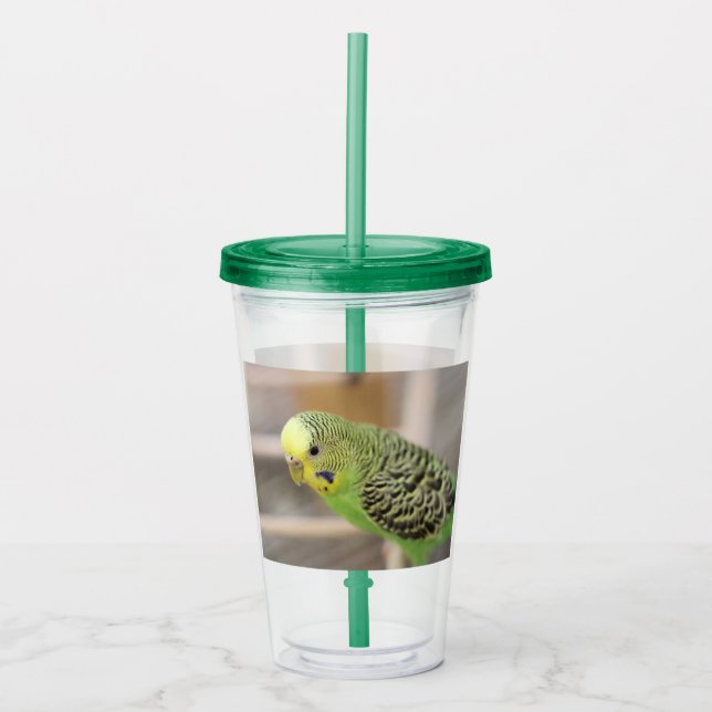 Vaso Acrílico Kiwi (Anverso)