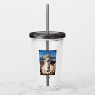Vaso Acrílico Lanzamiento del cohete Apolo Saturno V a la Luna 1