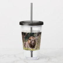 Leones Tumbler