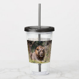 Vaso Acrílico Leones Tumbler