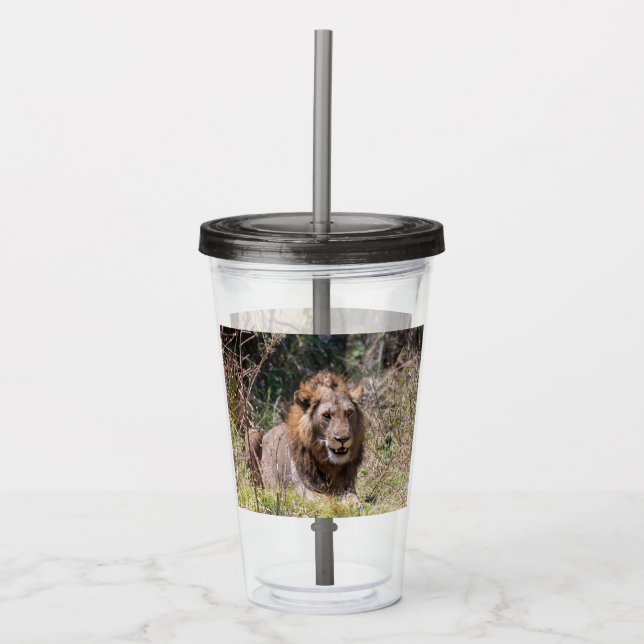 Vaso Acrílico Leones Tumbler (Anverso)