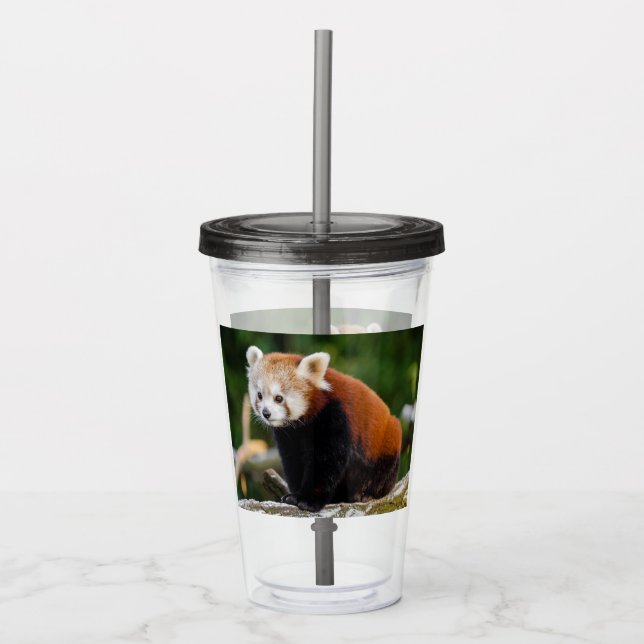 Vaso Acrílico Lindo Panda Rojo (Anverso)