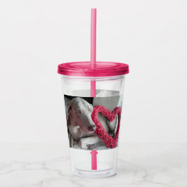 Vaso Acrílico Lluvia El Perro Weimaraner - Tumbler Acrílico
