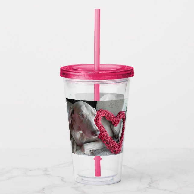 Vaso Acrílico Lluvia El Perro Weimaraner - Tumbler Acrílico (Anverso)