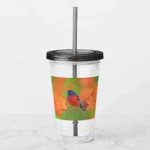 Vaso Acrílico Orchard Oriole Songbird Pintura original de aves