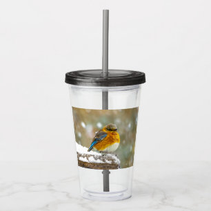 Vaso Acrílico Pájaro azul oriental en nieve - Fotografía origina