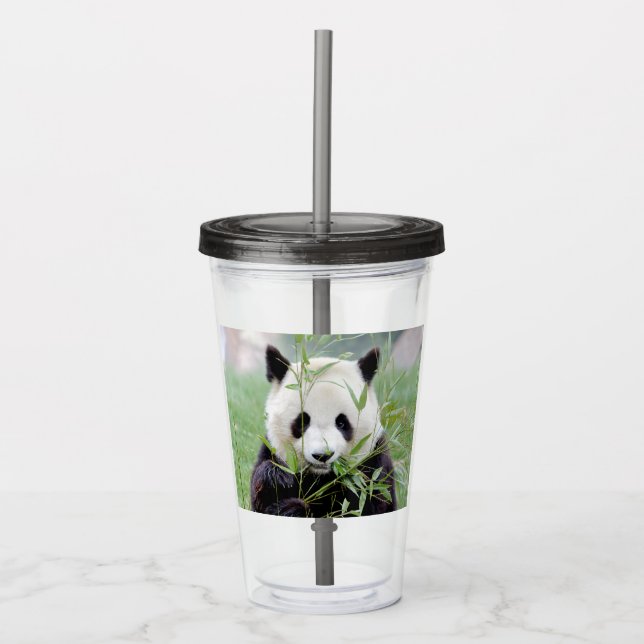 Vaso acrílico. Panda gigante de la foto, panda gea (Anverso)