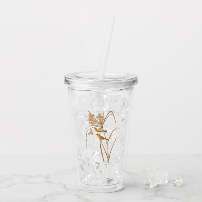 Vaso Acrílico Prairie Warbler Audubon Ave Amarilla (Reverso (hielo))