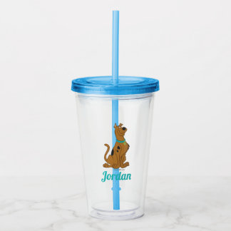 Vaso Acrílico Scooby-Doo Cuter Thate