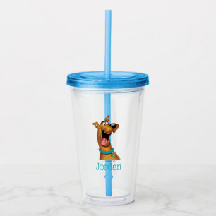 Vaso Acrílico Scooby-Doo Excited Face