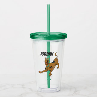 Vaso Acrílico Scooby-Doo Listo Para Jugar