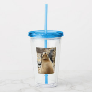 Vaso Acrílico Sonrisa de sello