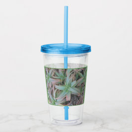 Vaso Acrílico suculentas de Nevada