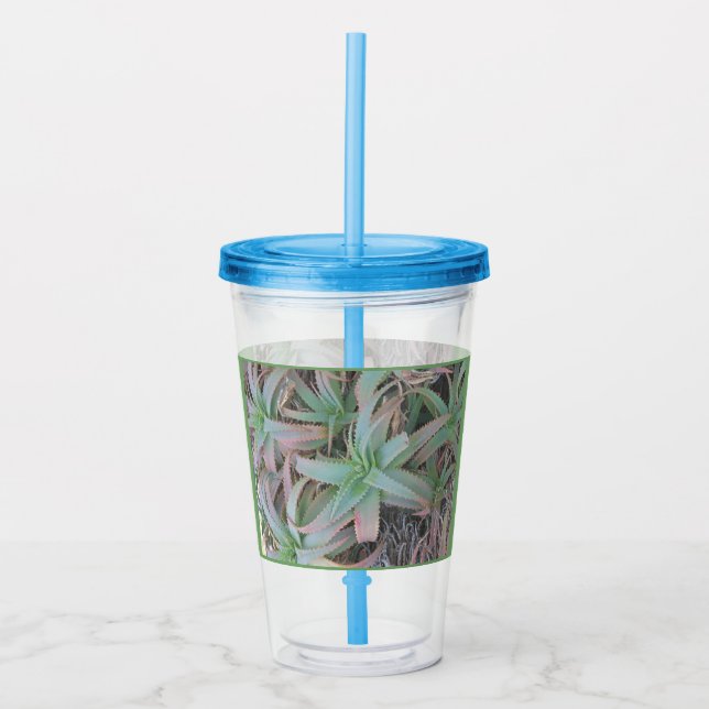 Vaso Acrílico suculentas de Nevada (Anverso)