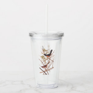 Vaso Acrílico Toque para revolver a las aves negras y Naranjas